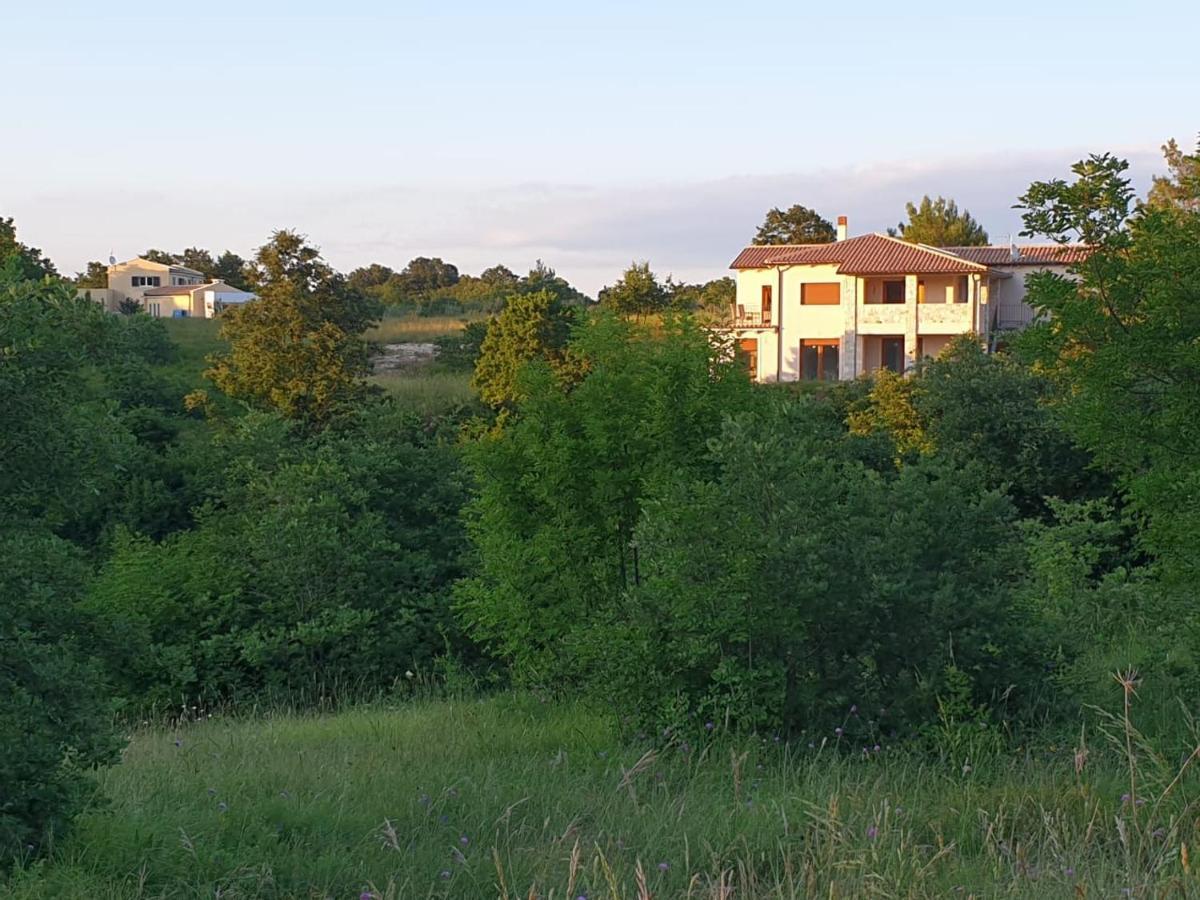 Villa Istra Divsici Экстерьер фото